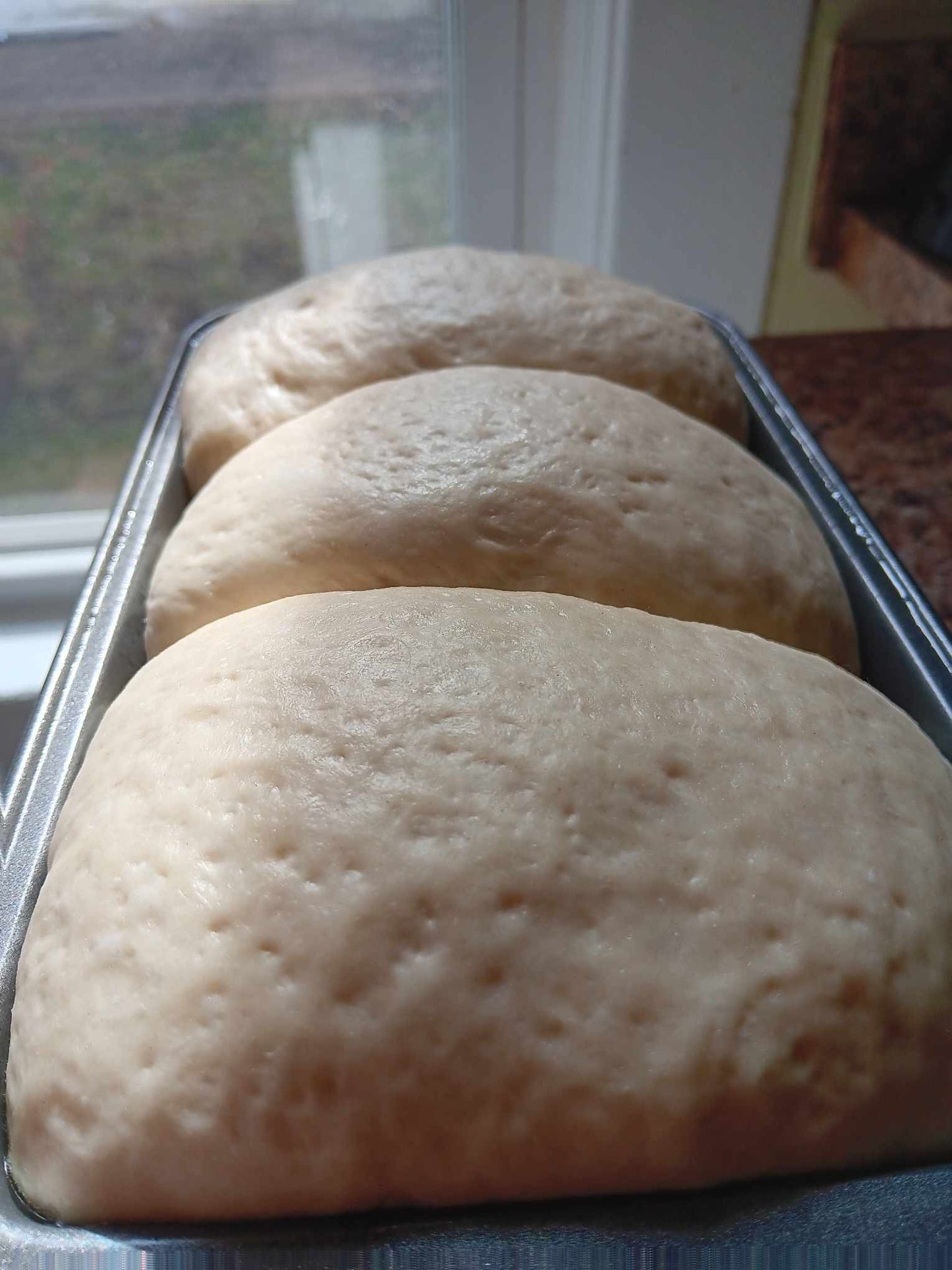 WHITE BREAD LOAVES